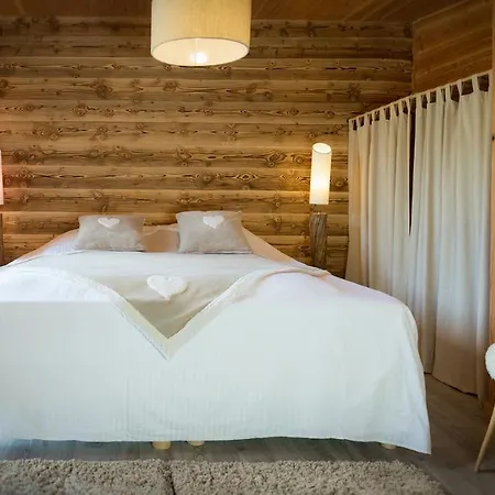 Chalet Savoyard - - Bo Immobilier - Multipass 2025 Ete Offert Par Votre Pour 7 Personnes Châtel