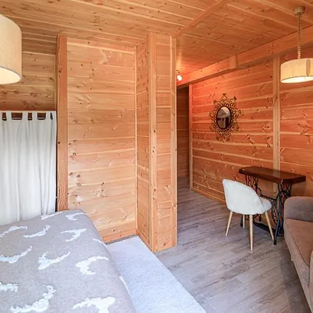 Savoyard - - Bo Immobilier - Multipass 2025 Ete Offert Par Votre Pour 7 Personnes * Châtel